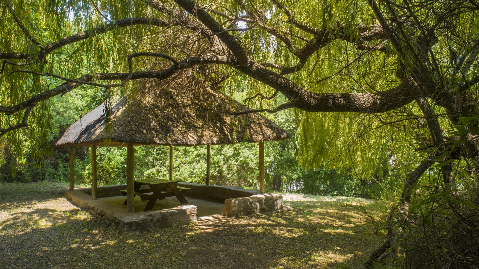 Thatched shelter beneath leafy trees