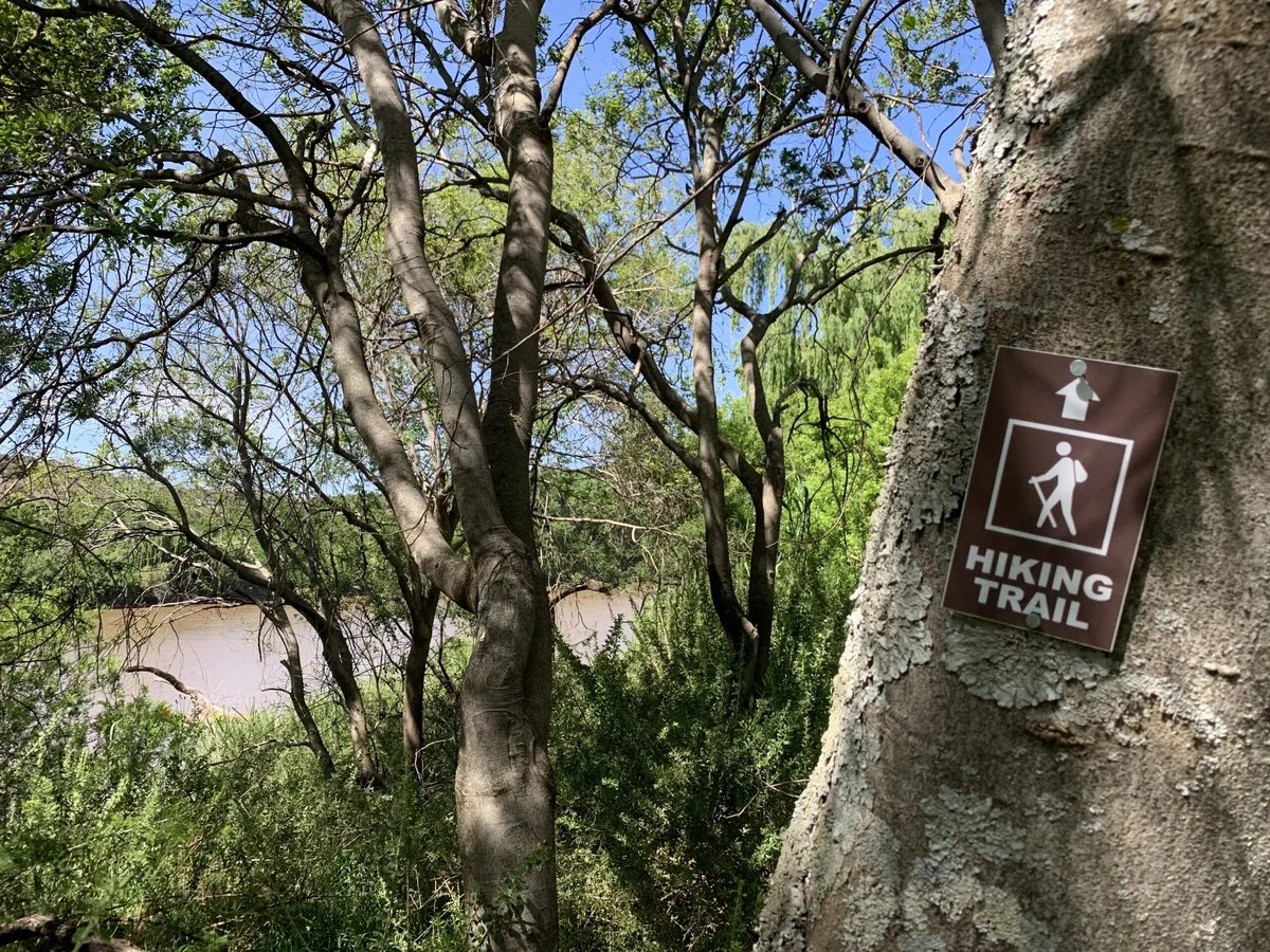 A hiking route marker on a tree beside the river
